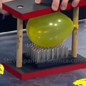 Educational Science Experiment Gr. 6-12 Force Over Area Teachers/Home School